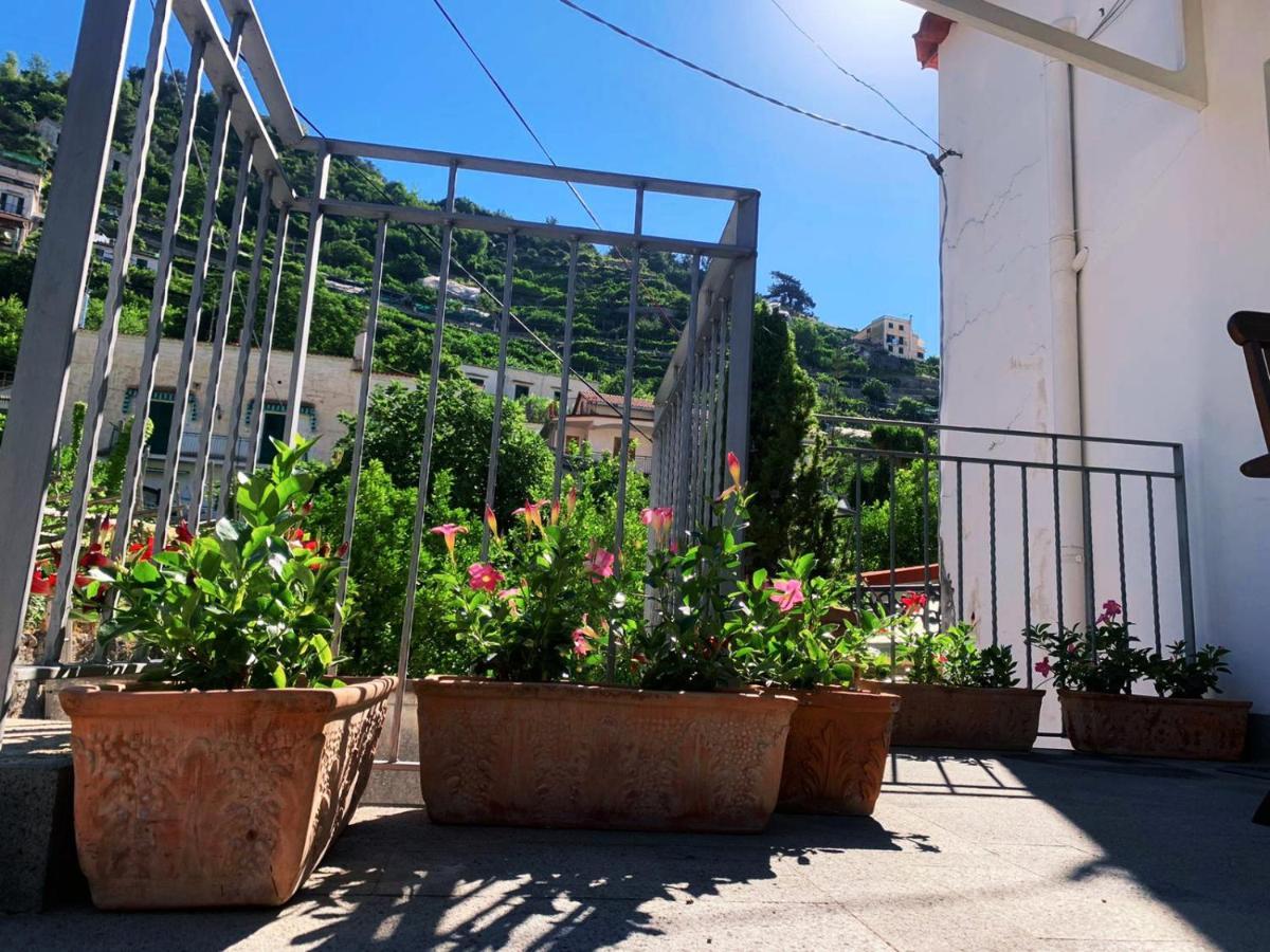 L'Albero Della Vita Minori Bagian luar foto